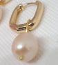 Freshwater Pearl Drop Earrings-Gold Plated-Smooth and Sleek Metal Work- light Gr