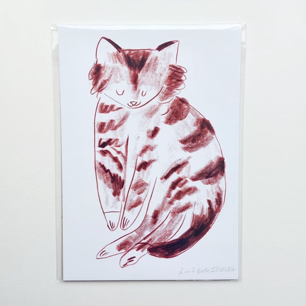 A5 Sleepy cat