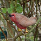 Needle Felt Robin - wool textile art 