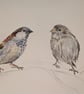 Sparrows, an A4 or A3 signed print of an original drawing - Image 4