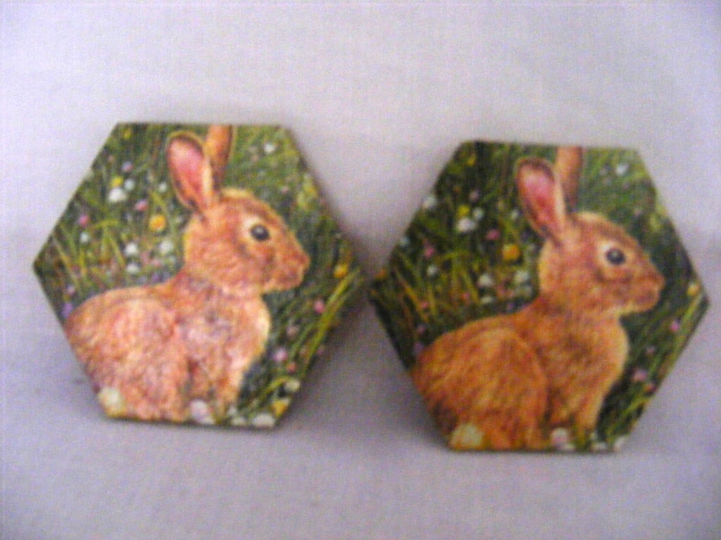 Set of 2 Rabbit Coasters.