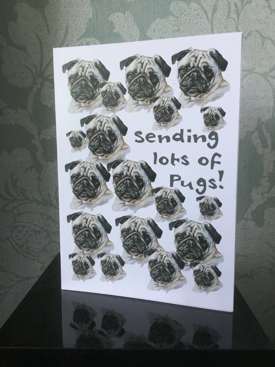 Lots Of Pugs Greetings Card - blank inside