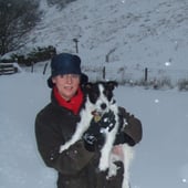 Black Mountain Cushions