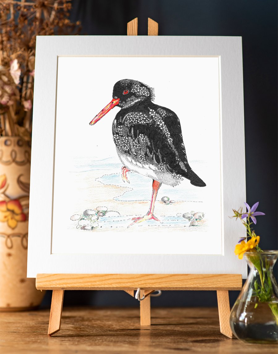 Oyster Catcher Art Print Folksy