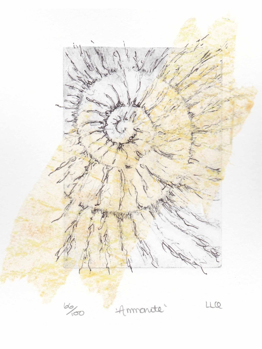 Etching no.66 of an ammonite fossil with mixed media in an edition of 100