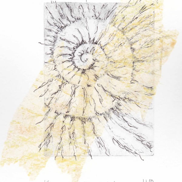 Etching no.66 of an ammonite fossil with mixed media in an edition of 100