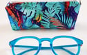 Glasses Cases