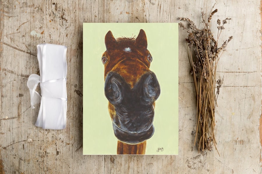 Quirky Horse Greeting Card, Horse Card, Funny Horse Card, Horse, Pony Card