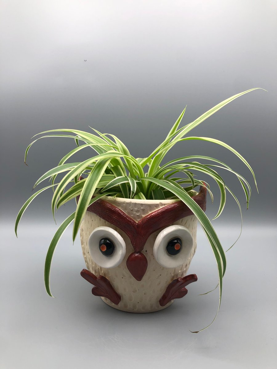 Indoor ceramic plant pot owl