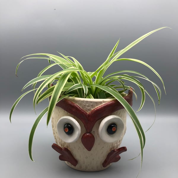Indoor ceramic plant pot owl