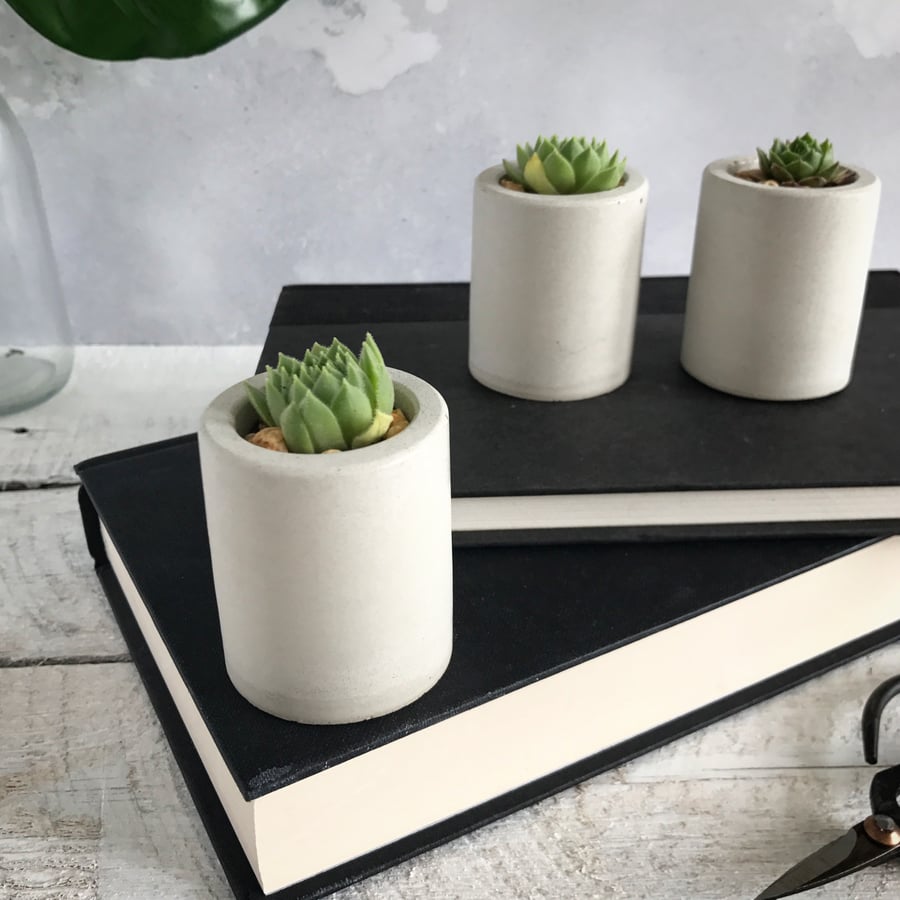 Concrete succulent planter trio - Grey