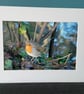 16x12 inch White Mounted Print of Robin