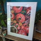 Pomegranates, metamorphosis, fine art print 
