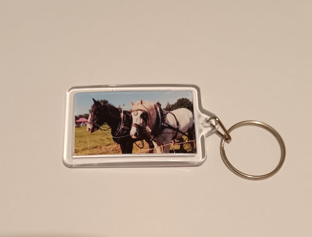 Shire Horse Photography Keyring