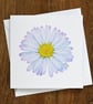 Daisy Blank Floral Card - Image 2