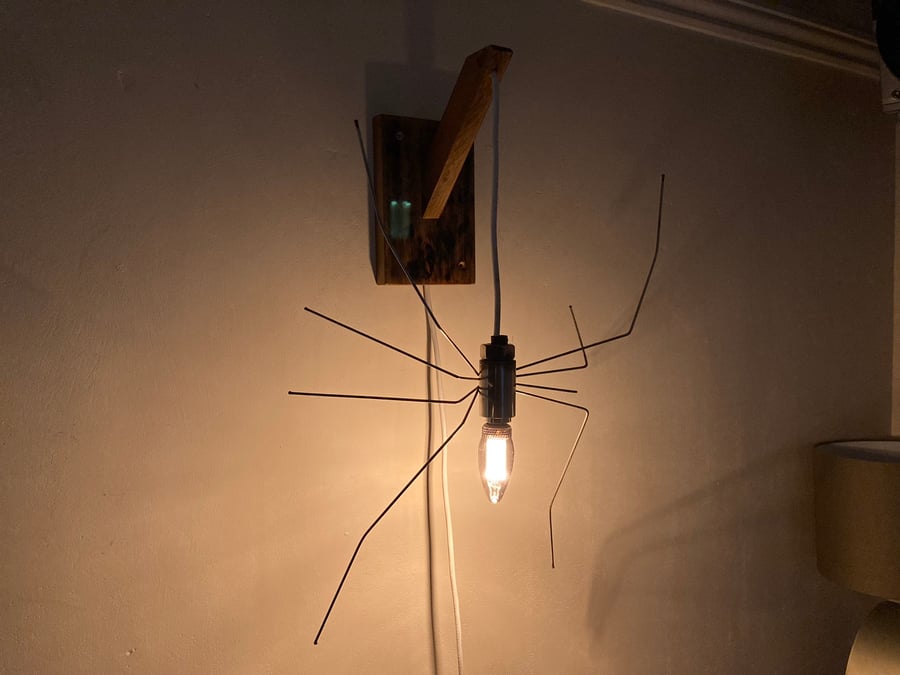 Spider Wall Sconce, Stainless Steel and Reclaimed Wood