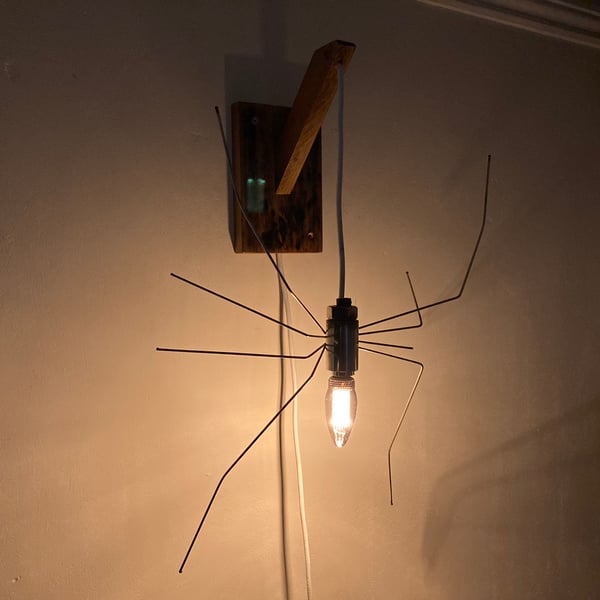 Spider Wall Sconce, Stainless Steel and Reclaimed Wood