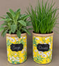 Ditsy Daisy Handmade Recycled Eco-Friendly Indoor Kitchen Herb Gift Set - Image 3