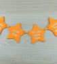 Twinkle Twinkle Little Star Bunting - Banners For Nursery and Bedroom