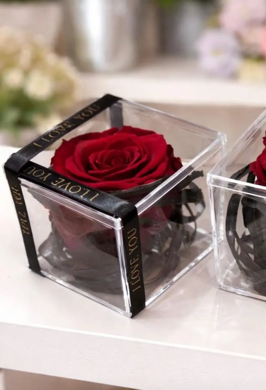 Preserved Red Rose in Acrylic Display Box - Real Forever Rose Gift