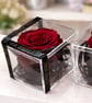 Preserved Red Rose in Acrylic Display Box - Real Forever Rose Gift