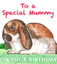 Sherry the Rabbit - Special Mummy Birthday Card - Image 1