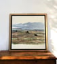 Northumberland hills - Serene Day - Image 4
