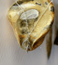Silver Seaweed Necklace - Image 3