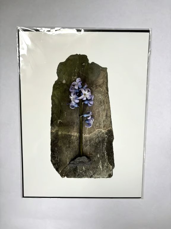 Art assemblage Photo Witch hunt Inspired