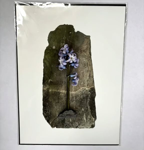 Art assemblage Photo Witch hunt Inspired
