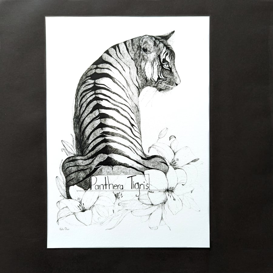 A3 Giclee Print (Choose from a selection of illustrations)