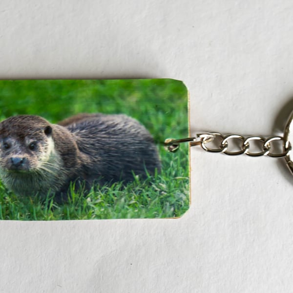 Otter Wooden Keyring
