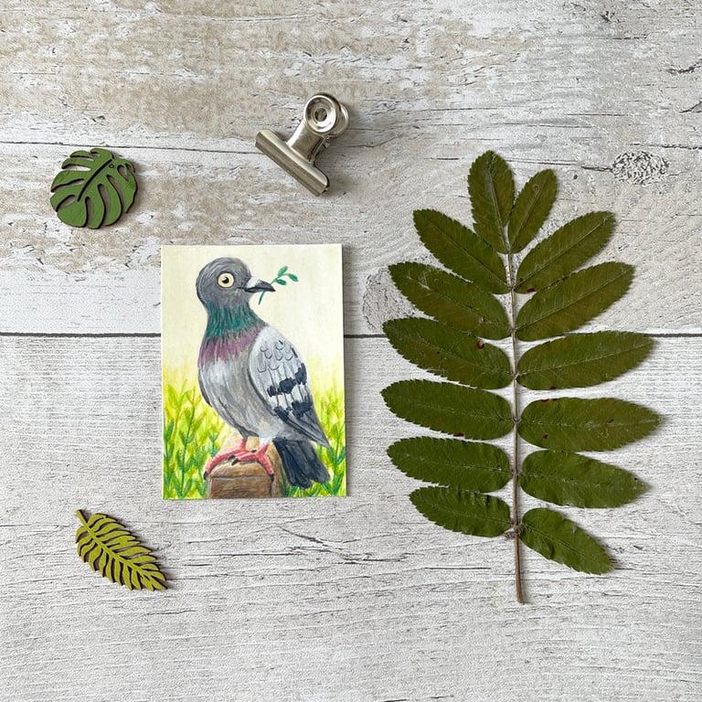 Pigeon bird Miniature Original ACEO painting - One of a kind