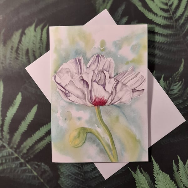 White Oriental Poppy - Greeting Card