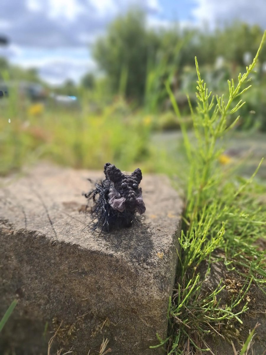 Ted the Dog, figurine - as seen on Gone Fishing!