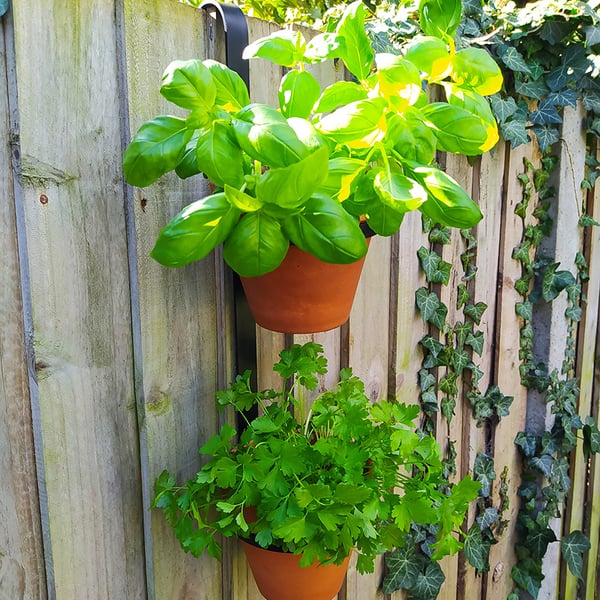 Black hand made double 'Fence Hanger' 6" terracotta pot holder