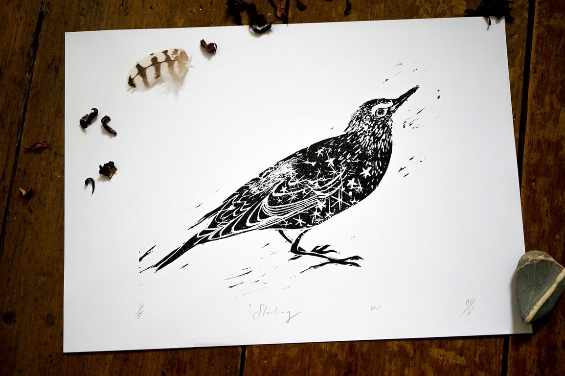 Starling Linocut, Original Linocut Art Print On Natural Paper