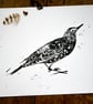 Starling Linocut Art Print - Image 2