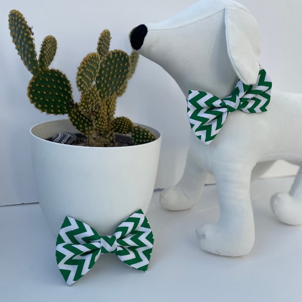 Green & White Chevron Stripe Dog Bow Tie 