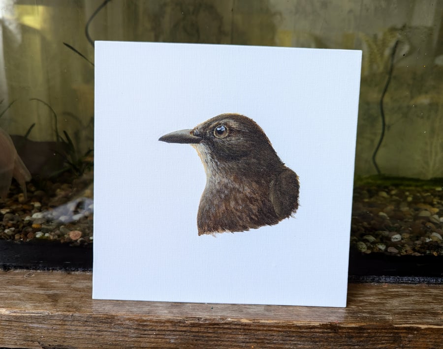 Female Eurasian Blackbird Portrait Painting 