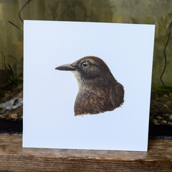 Female Eurasian Blackbird Portrait Painting 
