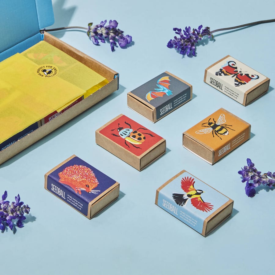 The Wildlife Seed Box Collection