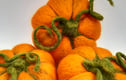 Seasonal