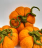 Small Needle Felted Pumpkin - seasonal table decoration WITH TWIZZLES! - Image 1