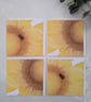 Sunflower and Bee Note Card set, Sunflower Greetings Card - Image 1