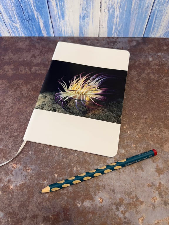Notebook, Marine themed, A5 (ish), made from up-cycled and recycled materials.
