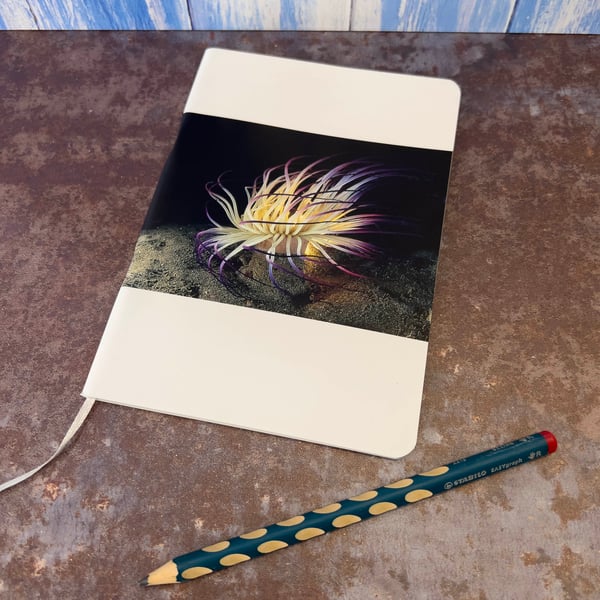 Notebook, Marine themed, A5 (ish), made from up-cycled and recycled materials.