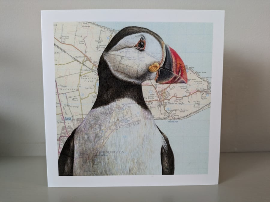 Pack of 4 Greetings Cards