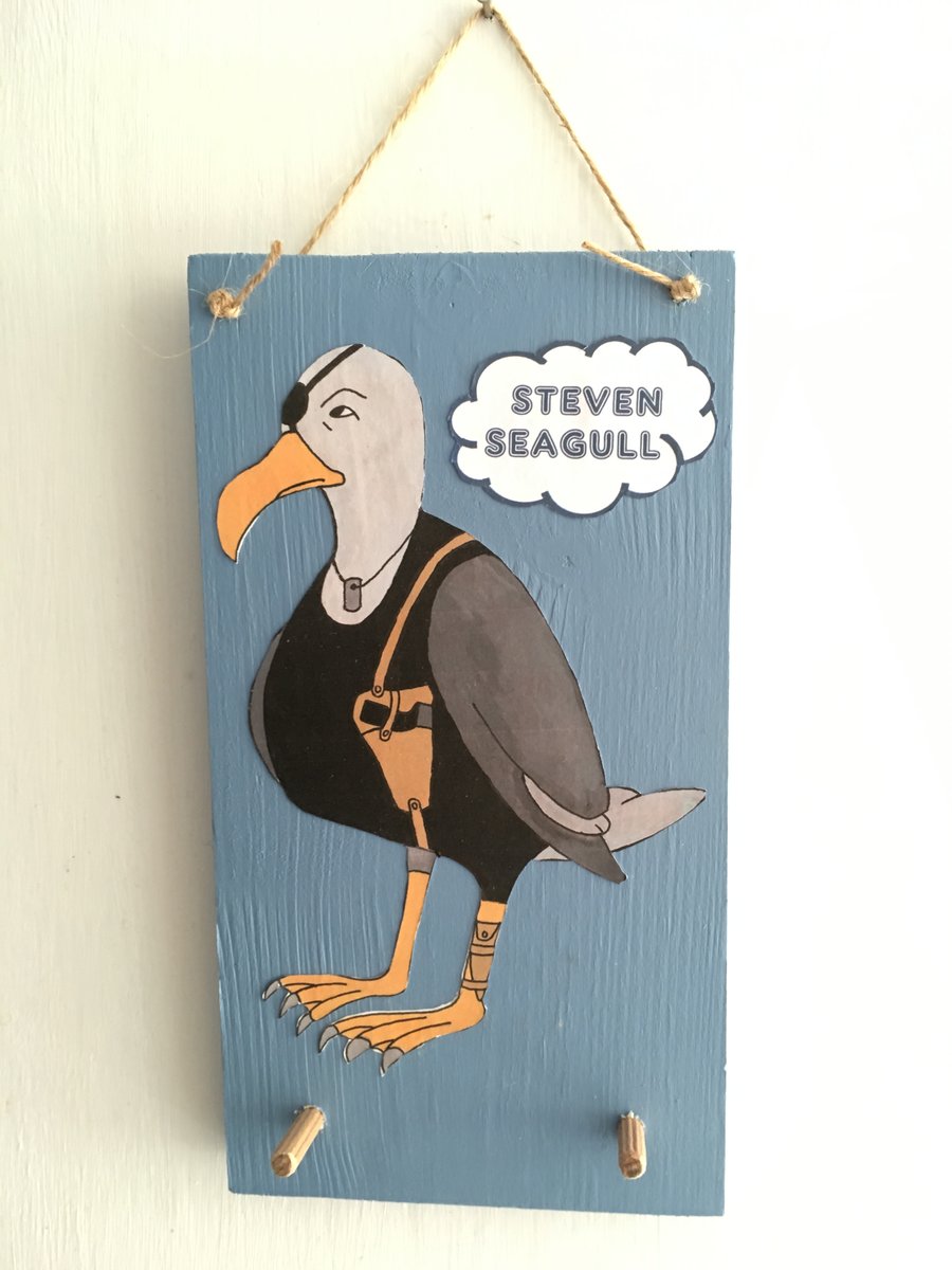Steven Seagull