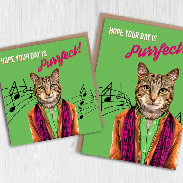 Cat birthday card: Purrfect - Animalyser